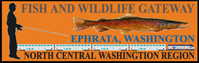 [fish]