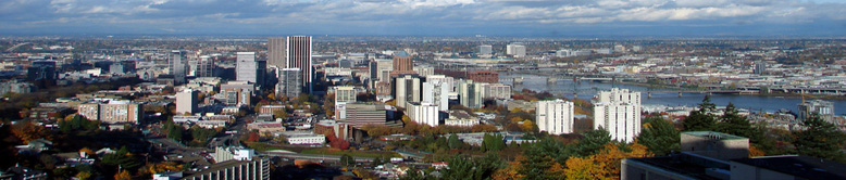 [view]